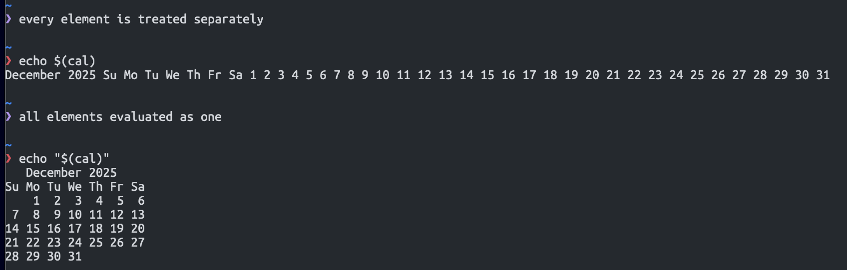 Bash qouting example